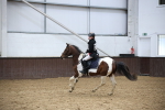 SBM_001557