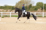 SBM_000949