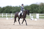 SBM_017533