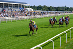 100726-Race 5-Dark Moon Rising-0354