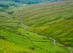 Yorkshire11