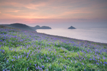 The Rumps
