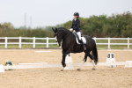 SBM_00768