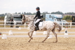 SBM_001049