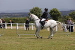 Class 34: Veteran Ridden portfolio