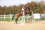 SBM_003498