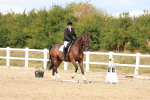 SBM_011897