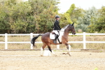 SBM_002923