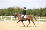 SBM_017371