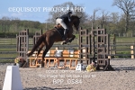 BPP_0584