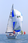 190629 EASY TIGER GBR9521T 1Y3A9818
