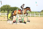 SBM_003644