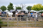 WJ5_6935