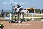 BPP_1332