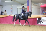 SBM_24484