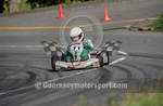 Hillclimb_08-08-2015_KART-66