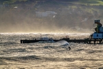 z4235 Sandown Surf