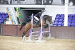 SBM_002356