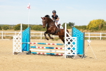 SBM_002795