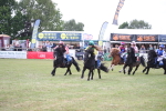 SBM_09955