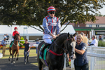 300824-Race 8-Finn Ironside-0731