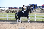 Cls 23 BD Young Horse Prelim 6 YO portfolio