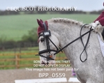 BPP_0559