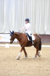 SBM_007331