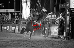 3HRodeo_PBR_TEAMS_JUL_2026_1412_BW