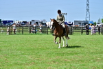 SBM_03837