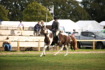 SBM_50191