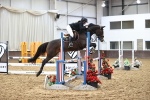SBM_006350
