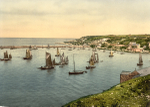 Brixham 5