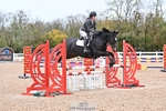 Clear Round, British Novice and 90cm portfolio