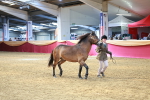 SBM_02275