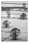 Latrigg View - Lake District