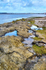 Arnside Shore 1