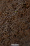 231104A-134726-01917