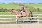 BPP_7521