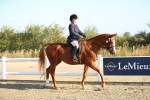 SBM_00375
