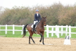 SBM_006729