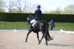 British Dressage portfolio
