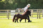 SBM_01883