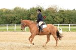 SBM_001608