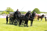 SBM_06655