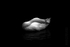 Swan 03