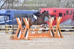 BPP_1417