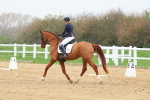 SBM_006602