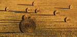 Straw Army