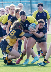 UofH Sport 2025-2026 portfolio